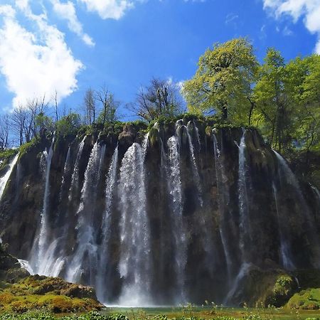 Hôtel Plitvice Streaming à Prijeboj Extérieur photo